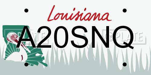 A20SNQ Louisiana License Plate