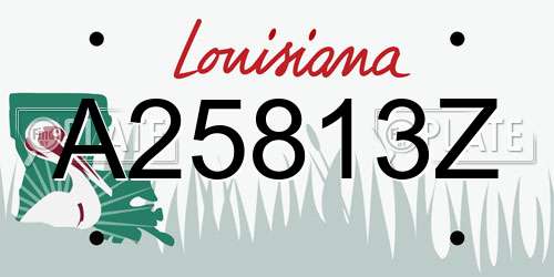 A25813Z Louisiana License Plate