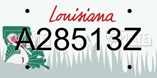 A28513Z Louisiana License Plate