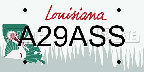 A29ASS Louisiana License Plate