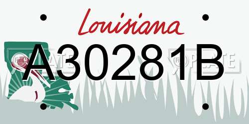 A30281B Louisiana License Plate