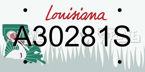 A30281S Louisiana License Plate