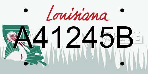 A41245B Louisiana License Plate