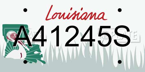A41245S Louisiana License Plate
