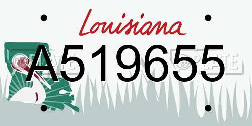 A519655 Louisiana License Plate