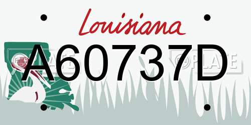A60737D Louisiana License Plate