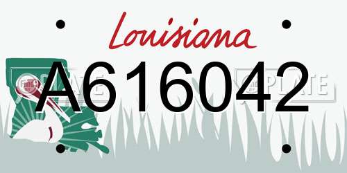 A616042 Louisiana License Plate