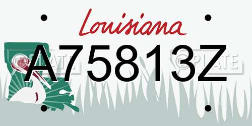 A75813Z Louisiana License Plate
