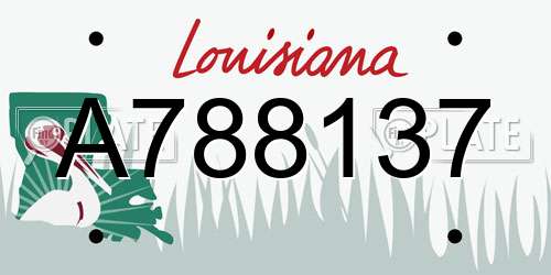 A788137 Louisiana License Plate
