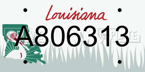 A806313 Louisiana License Plate