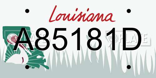 A85181D Louisiana License Plate