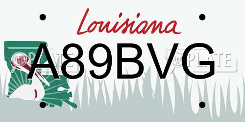 A89BVG Louisiana License Plate