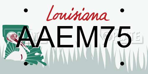 AAEM75 Louisiana License Plate