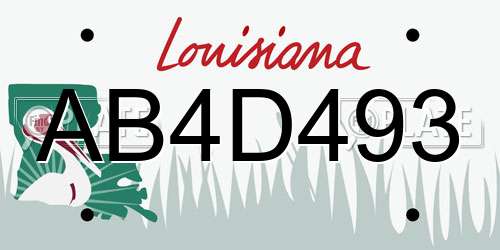 AB4D493 Louisiana License Plate