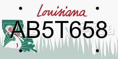 AB5T658 Louisiana License Plate