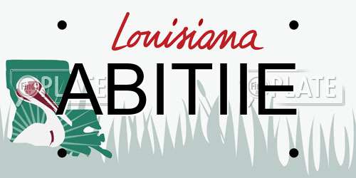 ABITIIE Louisiana License Plate