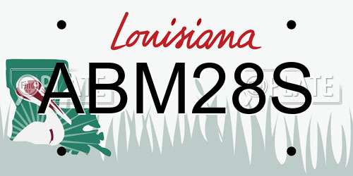 ABM28S Louisiana License Plate
