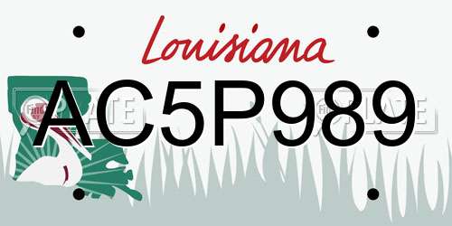 AC5P989 Louisiana License Plate