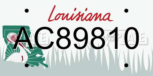 AC89810 Louisiana License Plate