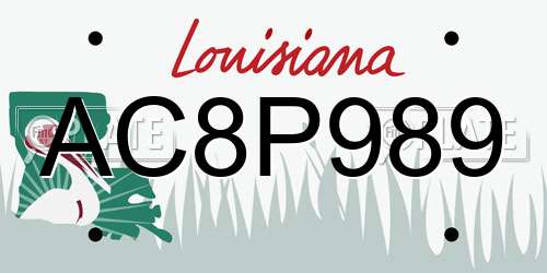 AC8P989 Louisiana License Plate