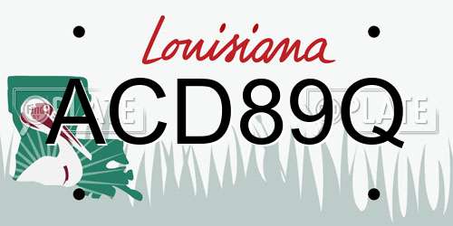 ACD89Q Louisiana License Plate