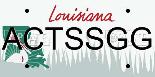 ACTSSGG Louisiana License Plate