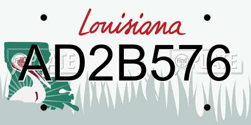 AD2B576 Louisiana License Plate