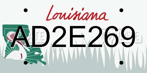 AD2E269 Louisiana License Plate