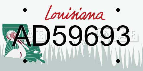 AD59693 Louisiana License Plate