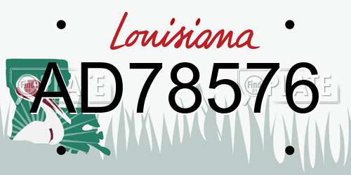AD78576 Louisiana License Plate