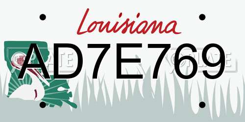 AD7E769 Louisiana License Plate