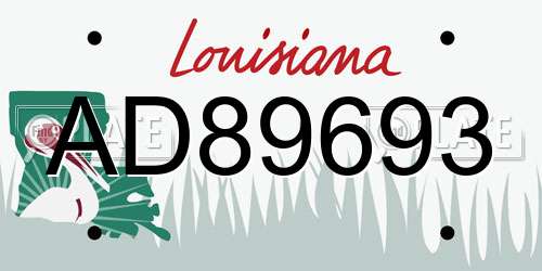 AD89693 Louisiana License Plate