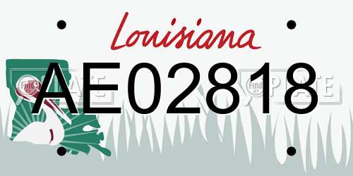 AE02818 Louisiana License Plate