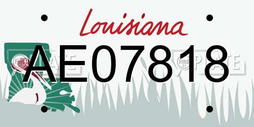 AE07818 Louisiana License Plate