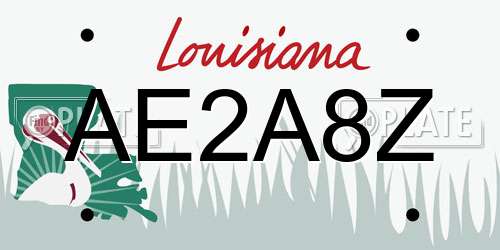 AE2A8Z Louisiana License Plate