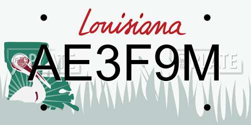 AE3F9M Louisiana License Plate