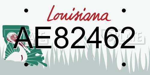 AE82462 Louisiana License Plate