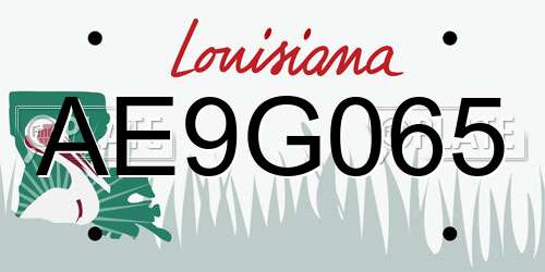 AE9G065 Louisiana License Plate
