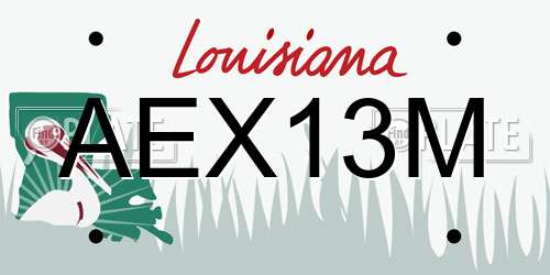 AEX13M Louisiana License Plate