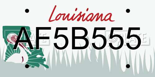 AF5B555 Louisiana License Plate
