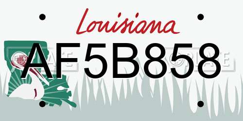 AF5B858 Louisiana License Plate
