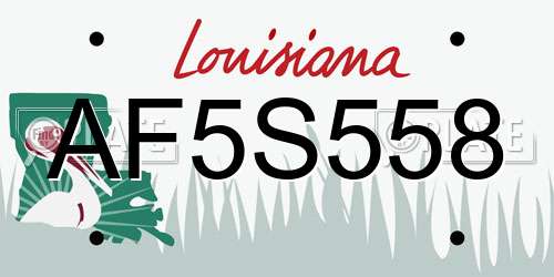 AF5S558 Louisiana License Plate
