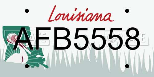 AFB5558 Louisiana License Plate
