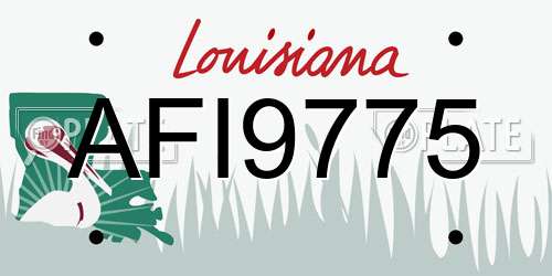 AFI9775 Louisiana License Plate