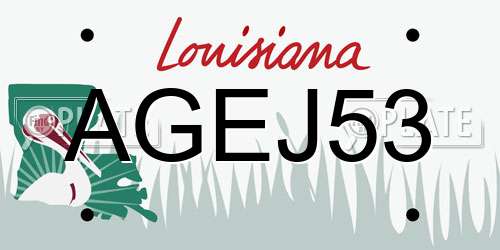 AGEJ53 Louisiana License Plate