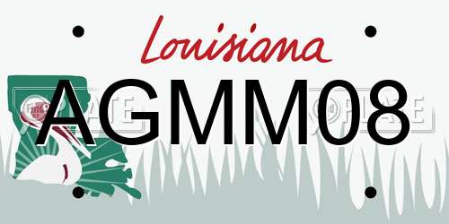 AGMM08 Louisiana License Plate
