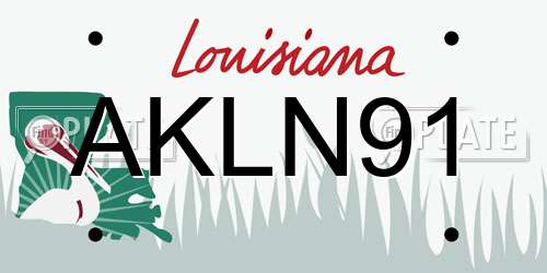 AKLN91 Louisiana License Plate