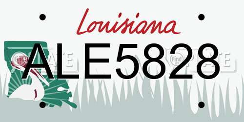 ALE5828 Louisiana License Plate