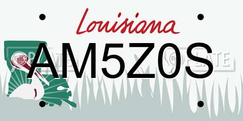 AM5Z0S Louisiana License Plate