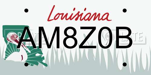 AM8Z0B Louisiana License Plate